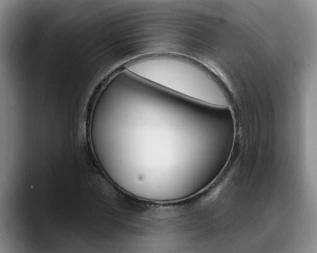 X0000090730877200707200953