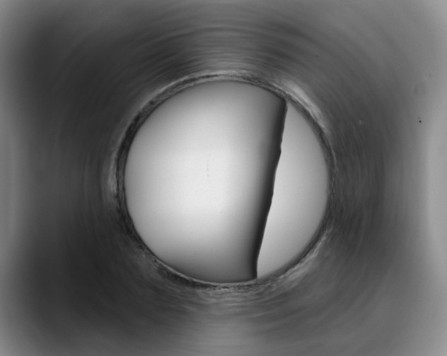 X0000090730883200707200953