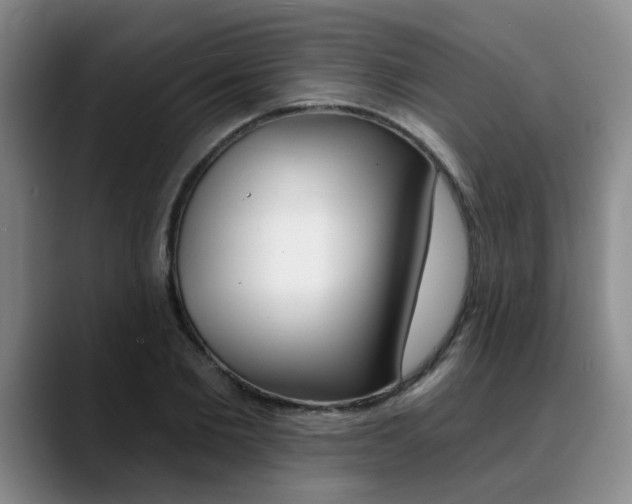 X0000090730885200707200953