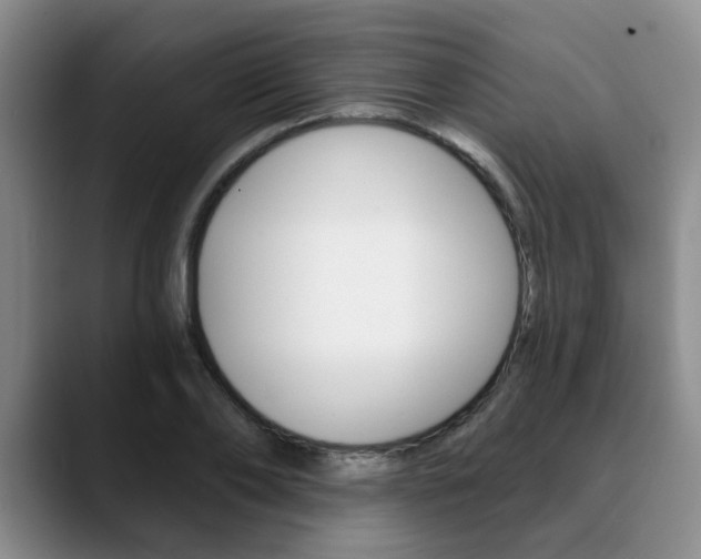 X0000090730886200707200953
