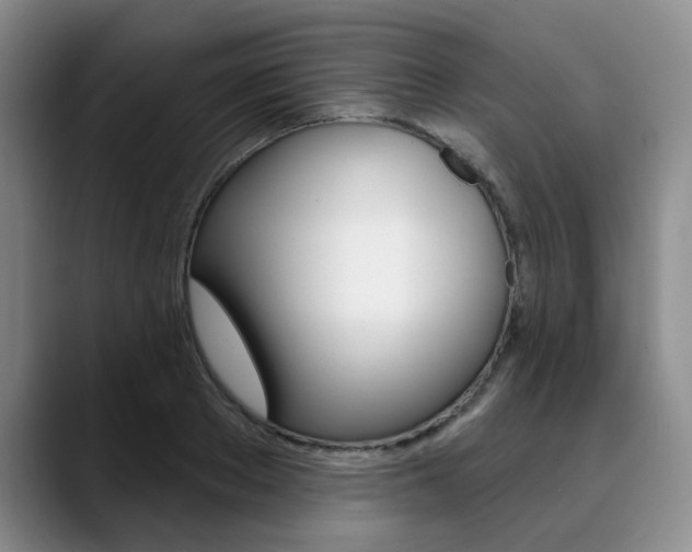 X0000090730889200707200953