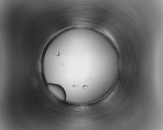 X0000090730891200707200953