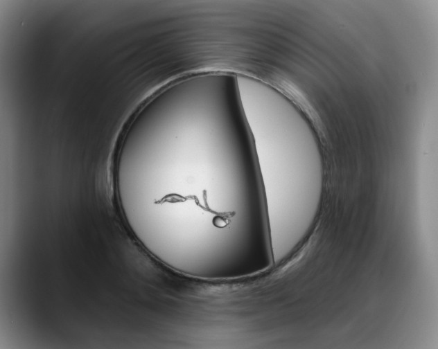 X0000090730892200707200953