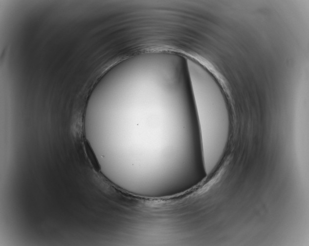 X0000090730897200707200953