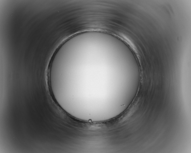 X0000090730899200707200953
