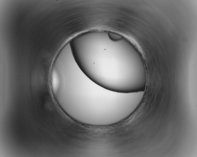 X0000090730903200707200953