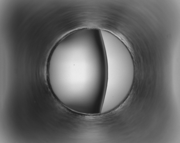 X0000090730904200707200953
