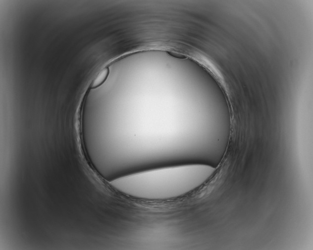 X0000090730907200707200953