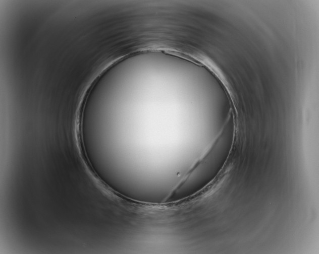 X0000090730909200707200953
