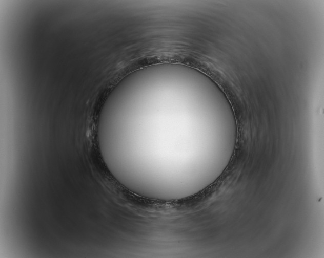 X0000090730914200707200952