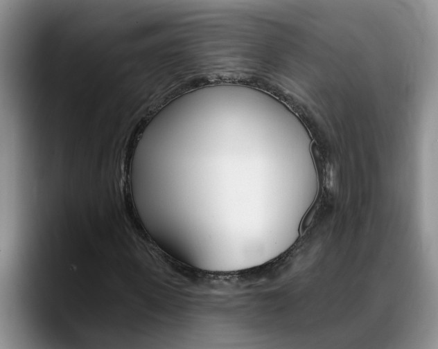 X0000090730915200707200952
