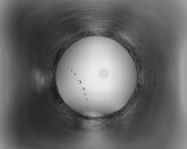X0000090730917200707200952