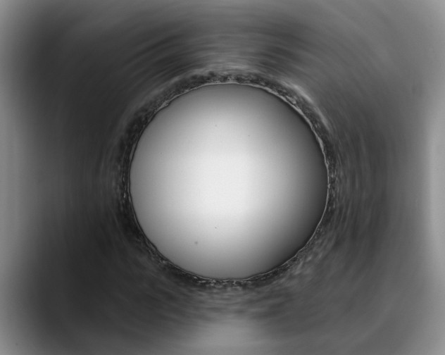 X0000090730919200707200952