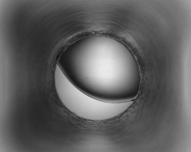 X0000090730920200707200952