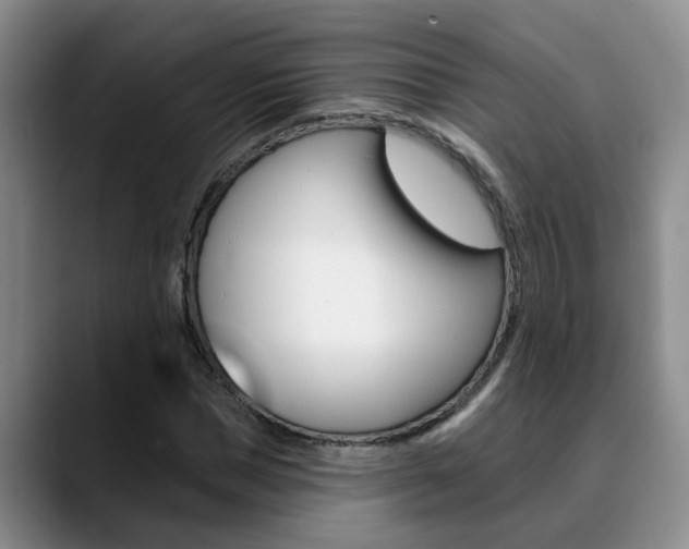X0000090730921200707200952