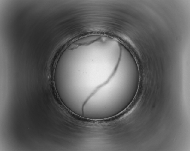 X0000090730922200707200952