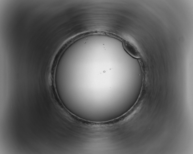 X0000090730924200707200952