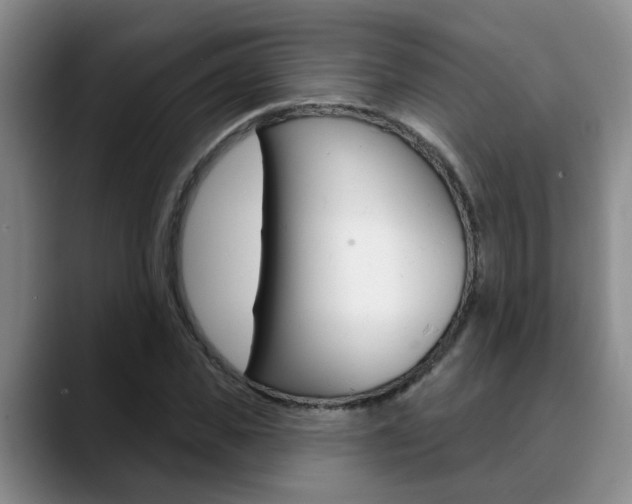 X0000090730925200707200952