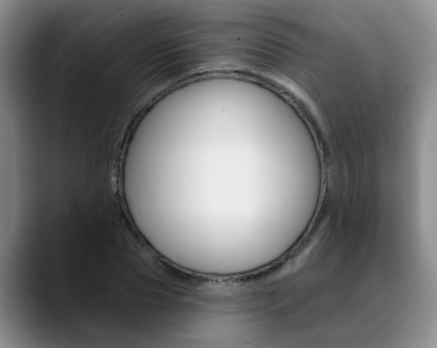 X0000090730929200707200952