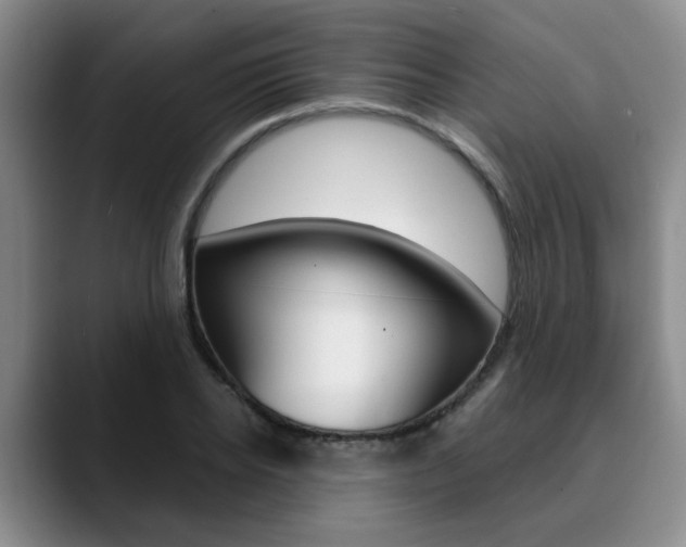 X0000090730934200707200952