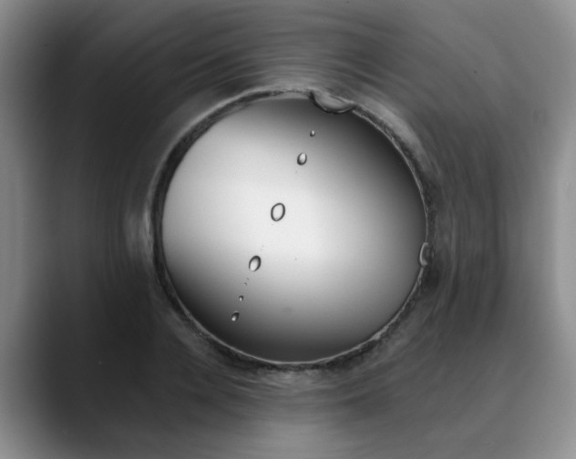 X0000090730936200707200953