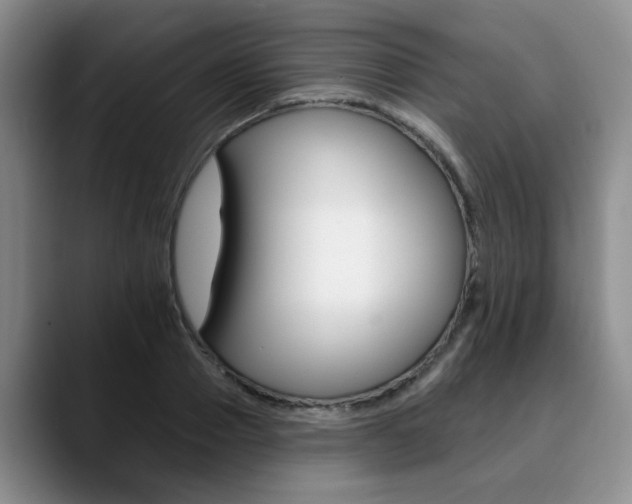 X0000090730937200707200953