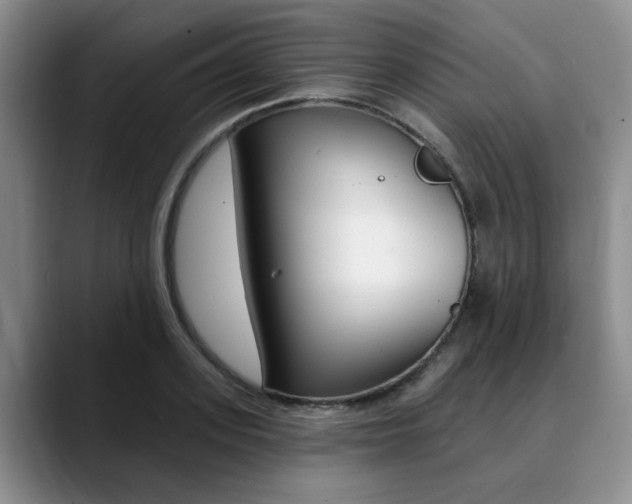 X0000090730939200707200953