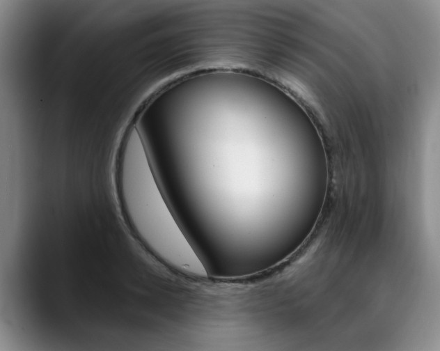 X0000090730942200707200953