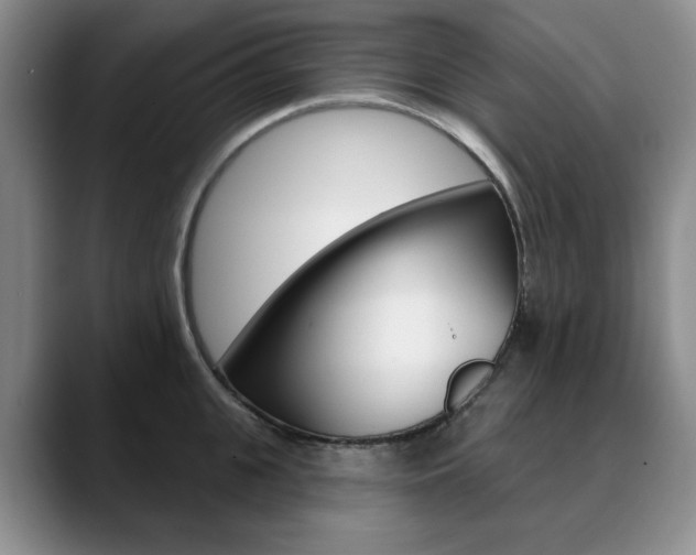 X0000090730951200707200953