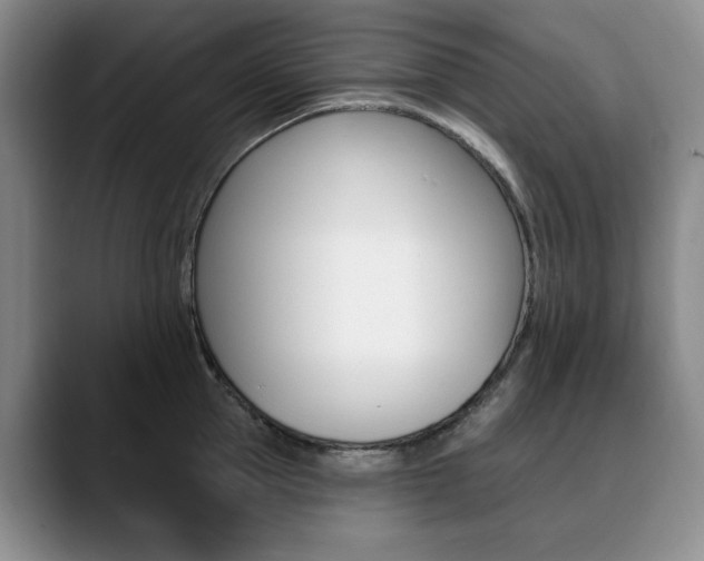 X0000090730953200707200953