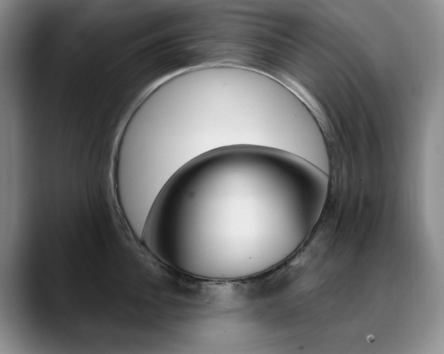 X0000090730956200707200953