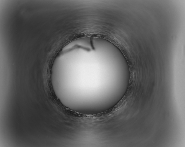 X0000090730961200707200952