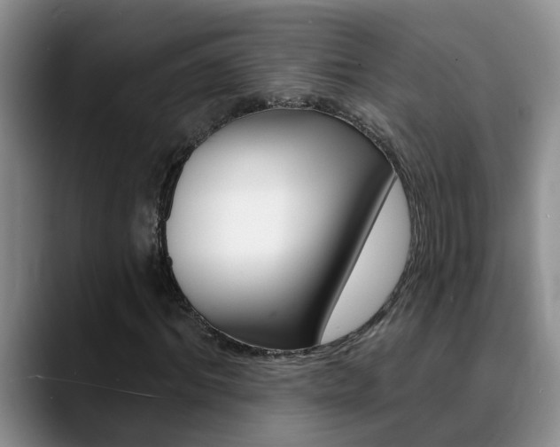 X0000090730964200707200952