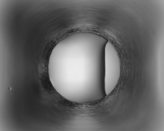 X0000090730966200707200952