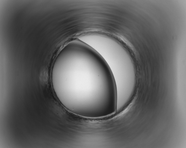 X0000090730969200707200952