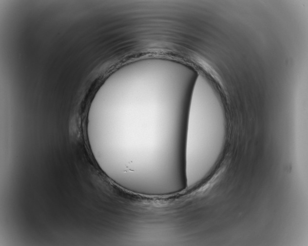 X0000090730970200707200952