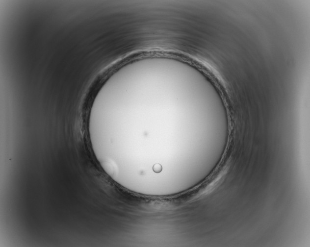 X0000090730974200707200952