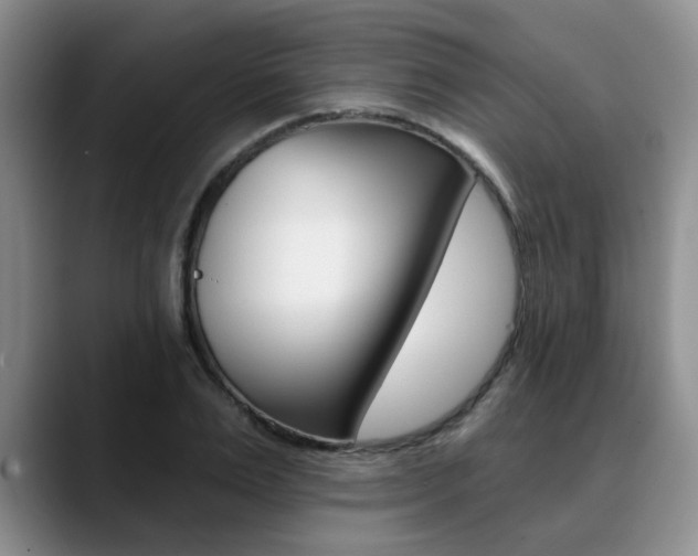 X0000090730983200707200952