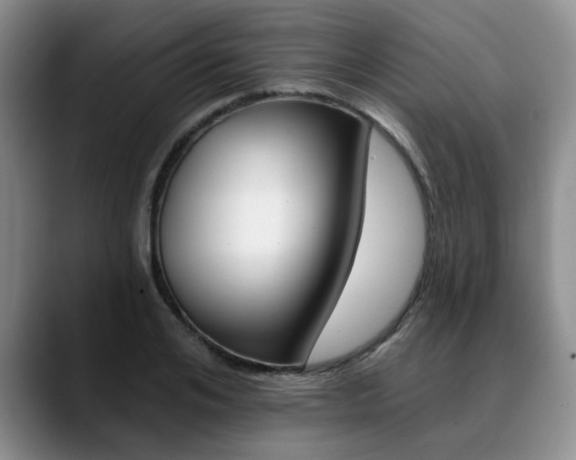 X0000090730984200707200952