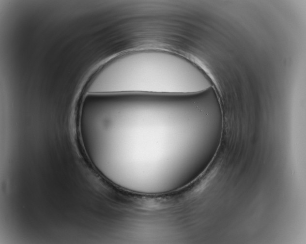 X0000090730987200707200952