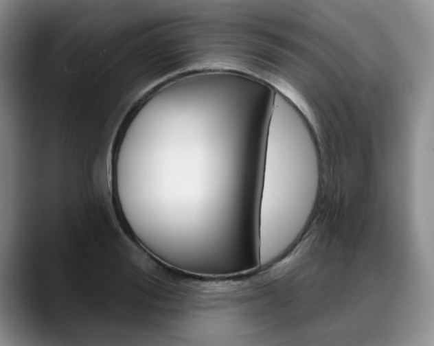X0000090730988200707200952