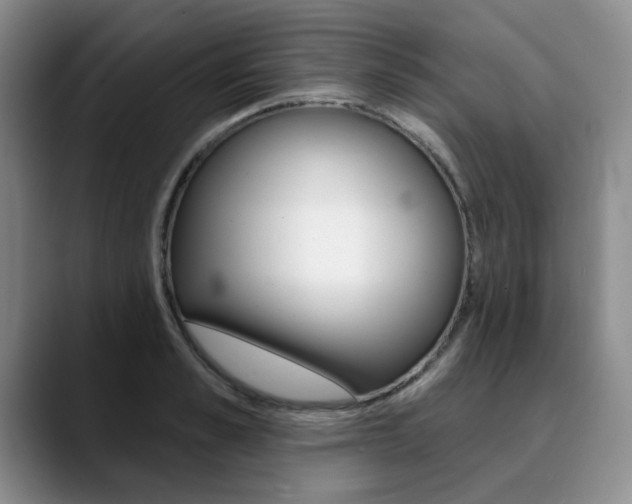 X0000090730989200707200952