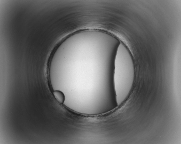 X0000090730990200707200952