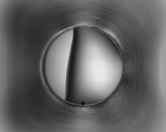 X0000090730991200707200952
