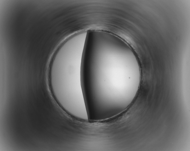 X0000090730992200707200952