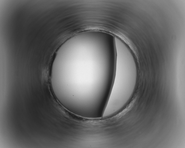 X0000090730993200707200952