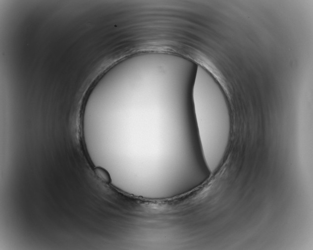 X0000090730994200707200952