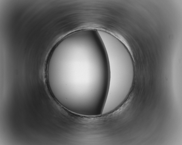 X0000090730997200707200952