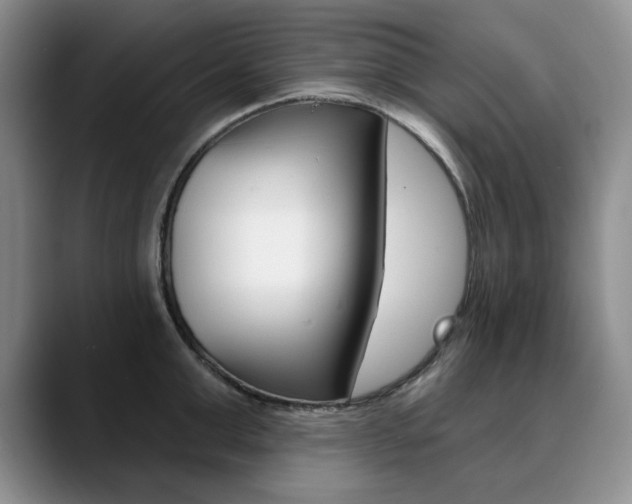 X0000090730999200707200952