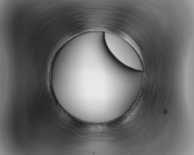 X0000090731002200707200952